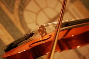 Violine im Haus der Musik