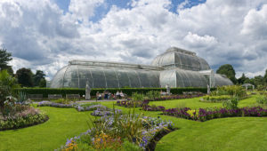 Das Palmenhaus in den Royal Botanic Gardens