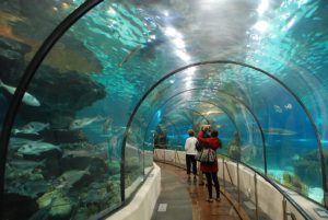 Unterwassertunnel im Aquarium Barcelona