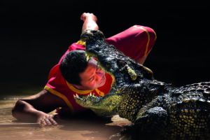 Live-Show in der Samutprakarn Crocodile Farm and Zoo