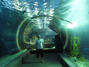 Unterwassertunnel in der Siam Ocean World