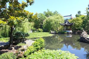 Teich im Dr. Sun Yat-Sen Classical Chinese Garden