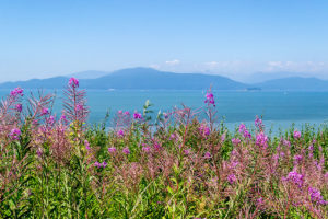 Blick auf die English Bay mit dem Burrard Inlet im Hintergrund