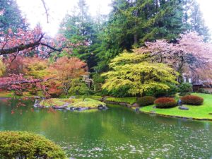 Japanische Landschaft im Nitobe Memorial Garden