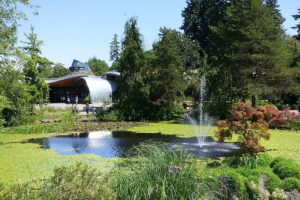 Teich im VanDusen Botanical Garden