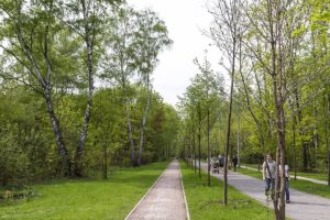 Spaziergänger im Sokolniki Park