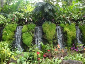 Wasserfälle im National Orchid Garden