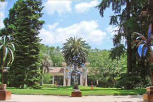 Bäume und Palmen im Real Jardín Botánico de Madrid