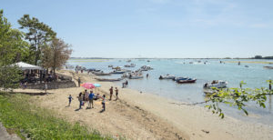 Strand auf Sant'Erasmo